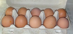 Frische Eier 10 Stück